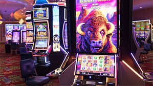 bet2fun Bingo
